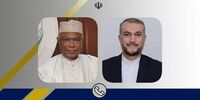 جزئیات رایزنی امیرعبداللهیان با دبیرکل سازمان همکاری اسلامی