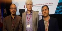 نروژ برای توسعه پرورش ماهی در قفس با ایران همکاری می‌کند