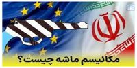 مکانیسم ماشه چیست؟+ فیلم