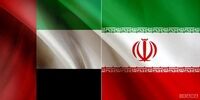 محبوبیت میوه های ایرانی در امارات/ عدم صدور ویزای امارات برای ایرانی‌‌ها موقتی است