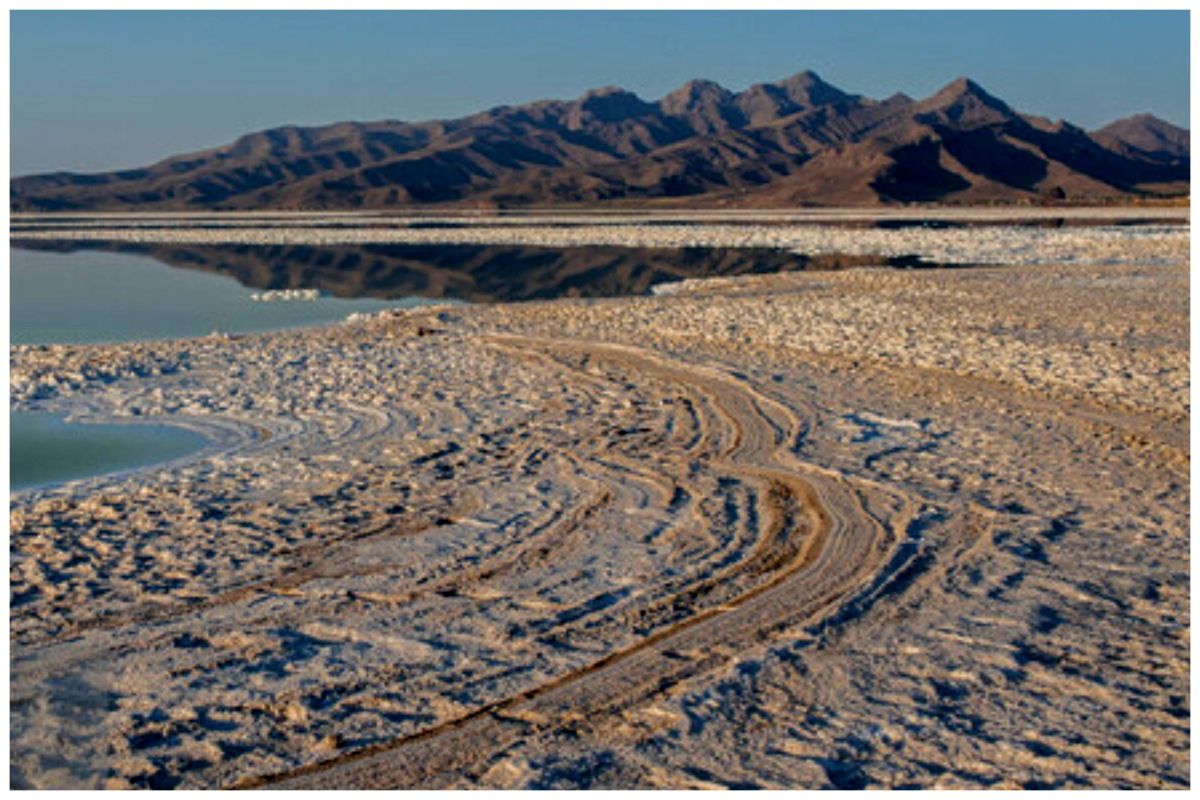 تصاویری متفاوت از حال خوش دریاچه ارومیه +فیلم