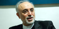 انتقاد صریح صالحی از مواضع احمدی نژاد+فیلم