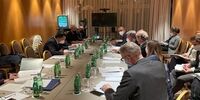 دیدار 1+4 با هیات آمریکایی/ اولیانف: موضوع دشوار، تضمین عدم تکرار مشکلات اخیر بود