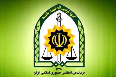 واکنش پلیس پایتخت به ویدئویِ حادثه‌یِ خیابان آفریقا 