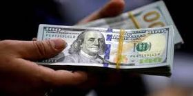 سقوط آزاد قیمت سکه در تهران / دلار سرگیجه گرفت 
