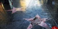 حذف ستاره ترامپ در خیابان مشاهیر هالیوود +عکس