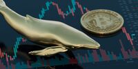 بیت‌کوین در مرز ۱۱۱ هزار دلار ایستاد | تتر هم‌مسیر با دلار روی خط ۱۰۰ هزار تومان | نهنگ ها همچنان فعالند