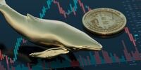 بیت‌کوین در مرز ۱۱۱ هزار دلار ایستاد | تتر هم‌مسیر با دلار روی خط ۱۰۰ هزار تومان | نهنگ ها همچنان فعالند