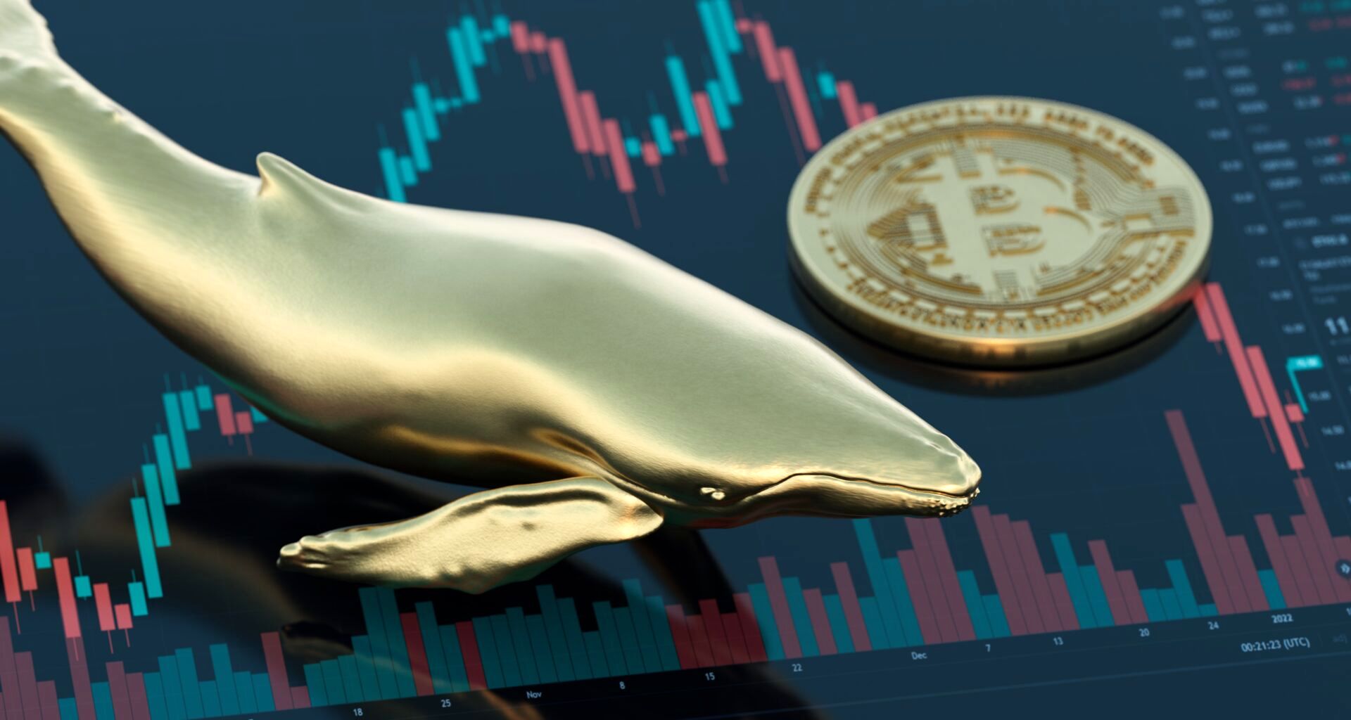 بیت‌کوین در مرز 111 هزار دلار ایستاد | تتر هم‌مسیر با دلار روی خط 100 هزار تومان | نهنگ ها همچنان فعالند 2