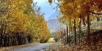 هوای کشور خنک می‌شود