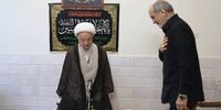 دیدار پزشکیان با آیت‌الله مکارم شیرازی+ عکس