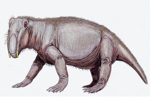 تصویری از وحشتناک‌ترین دایناسور دوران باستان!
