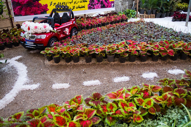 پانزدهمین جشنواره گل و گیاه محلات