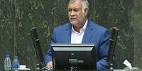 طعنه نماینده مجلس به وزیر ورزش/ اگر پول ندارید، گل‌گهر VAR در ورزشگاه آزادی نصب کند!