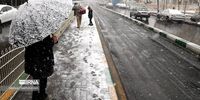 آغاز بارش‌ برف و کولاک در ۱۰ استان از امروز
