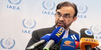 نماینده ایران در آژانس: تمام اورانیوم غنی‌شده ایران تحت نظارت کامل آژانس بوده است