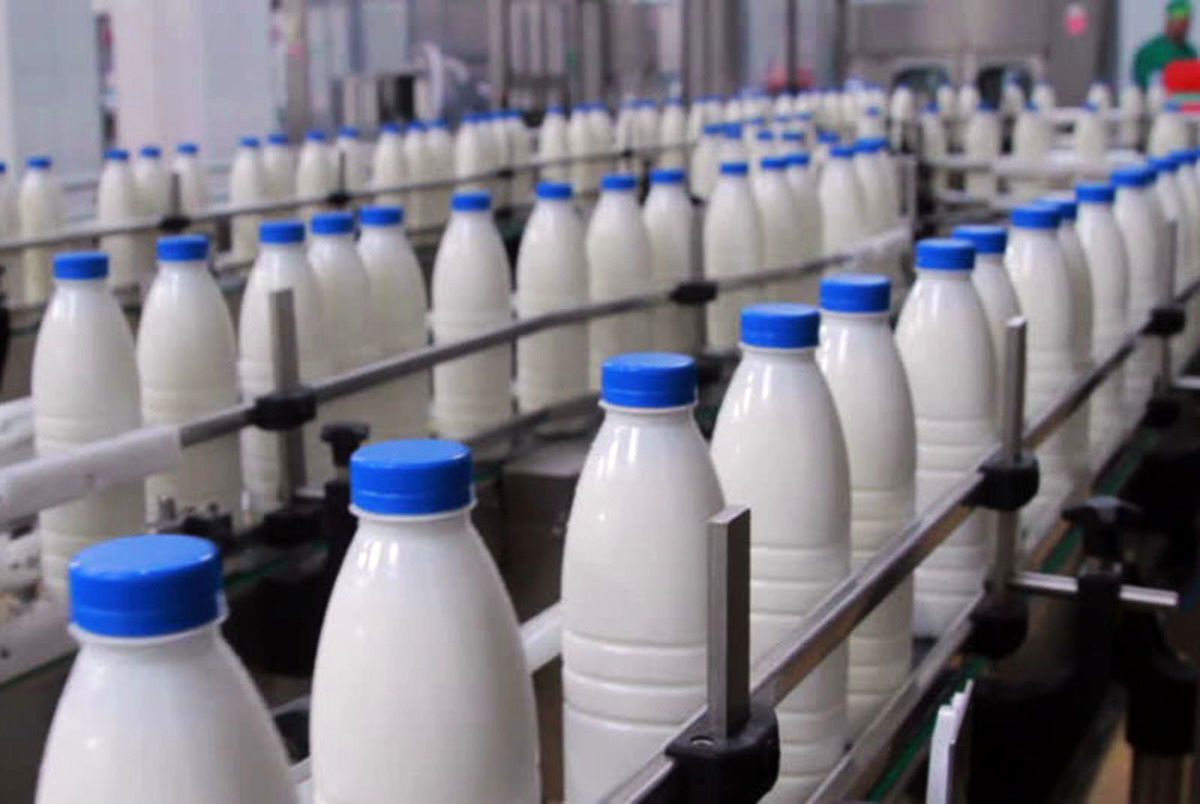 افزایش 10 برابری قیمت شیر / لبنیات دوباره گران می‌شود؟