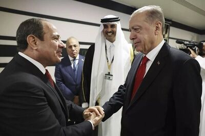اظهارات وزیر خارجه مصر درباره دیدار السیسی و اردوغان 