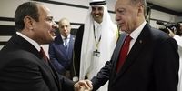 اظهارات وزیر خارجه مصر درباره دیدار السیسی و اردوغان 