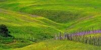 باورکنید اینجا گیلان زیبای خودمان است نه سوئیس!