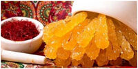 معجزه بی نظیر نبات برای سلامتی بدن