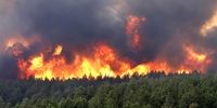 جنگل‌های هیرکانی در آستانه حذف از یونسکو/ آتش سوزی ادامه دارد؟