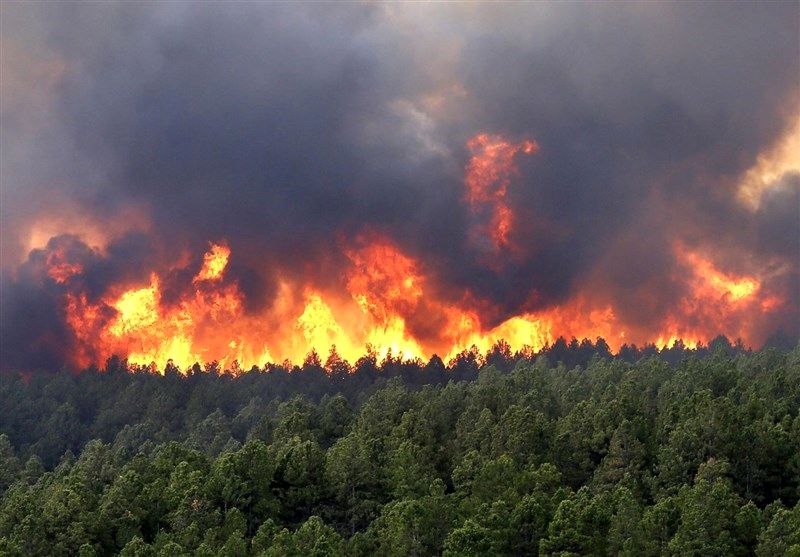 جنگل‌های هیرکانی در آستانه حذف از یونسکو/ آتش سوزی ادامه دارد؟