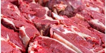 قیمت گوشت قرمز امروز جمعه ۲۱ اردیبهشت ۱۴۰۳/ گوشت گوساله چند شد؟