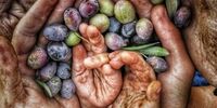 عجیب ترین کشور جهان / این، تمام فرق ما باهم است