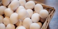 قیمت تخم مرغ در بازار چند شد؟+جدول