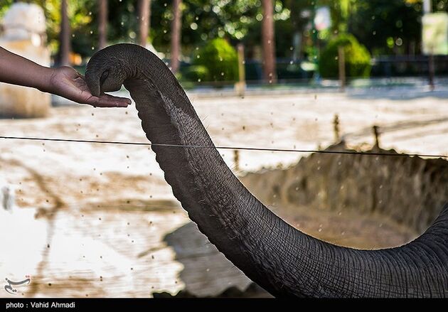 image17