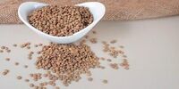 بوعلی سینا برای تقویت ریه چه می خورد؟

