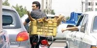 چرا حیوان زبان بسته را، غیرانسانی حمل می کنید؟/ کسی می‌خواست ثواب کند، اما کباب شد