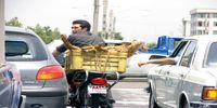 چرا حیوان زبان بسته را، غیرانسانی حمل می کنید؟/ کسی می‌خواست ثواب کند، اما کباب شد