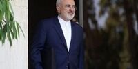 دیدار جمعی از سفرای کشورهای خارجی با ظریف