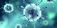 خبری خوش از درباره بیماران کرونایی