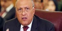 مصر خواستار اجرای تصمیمات سازمان ملل شد