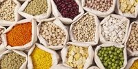 قیمت انواع حبوبات در میادین میوه وتره بار

