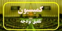 توییت مهم سخنگوی کمیسیون تلفیق/ علت رد کلیات لایحه بودجه ۱۴۰۵ اعلام شد