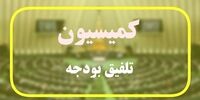 توییت مهم سخنگوی کمیسیون تلفیق/ علت رد کلیات لایحه بودجه ۱۴۰۵ اعلام شد