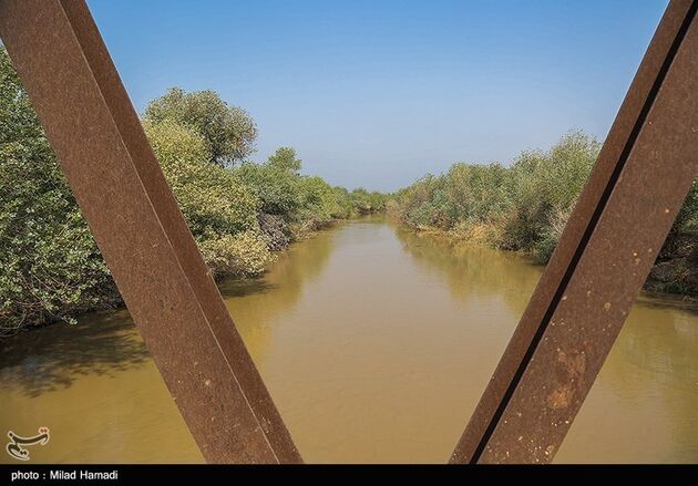 image11