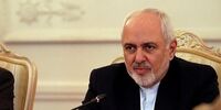 دیدار وزیر مشاور در امور خارجی بنگلادش با ظریف+عکس
