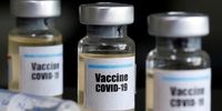 تولید واکسن جدید کرونا با نتایج موفقیت آمیز/ «مُدرنا» رقیب «فایزر» شد