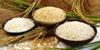 جدیدترین قیمت برنج در بازار+جدول