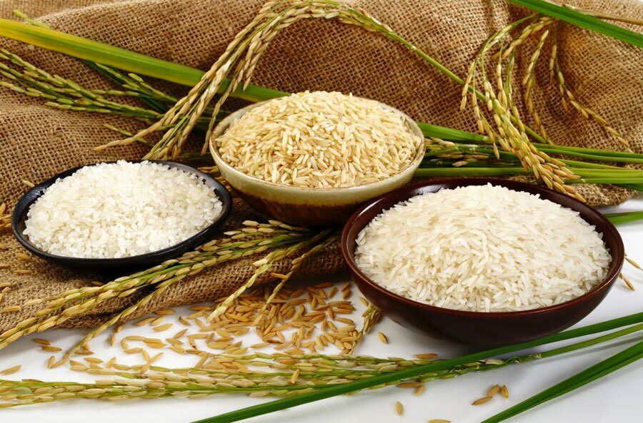 جدیدترین قیمت برنج در بازار+جدول