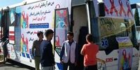 انتقاد از توقف اتوبوس ایدز/مثل کبک سرمان را زیر برف نکنیم