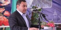برنامه جدید سازمان هواپیمایی در توسعه ناوگان حمل ونقل هوایی 