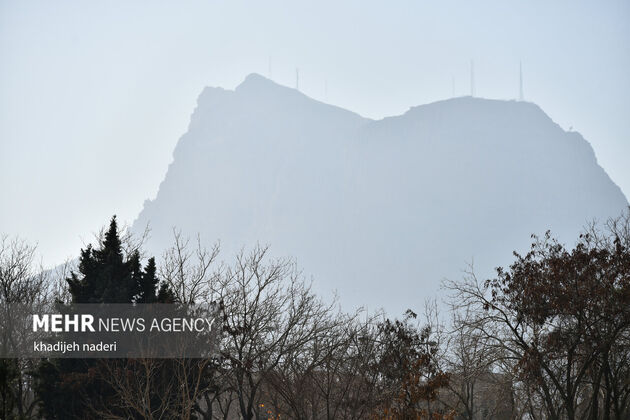 4003259_esf-alodegi-22-