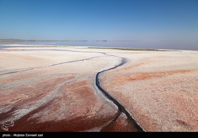 image11