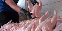 قیمت مرغ امروز 10 مرداد/ فیله چقدر قیمت خورد؟